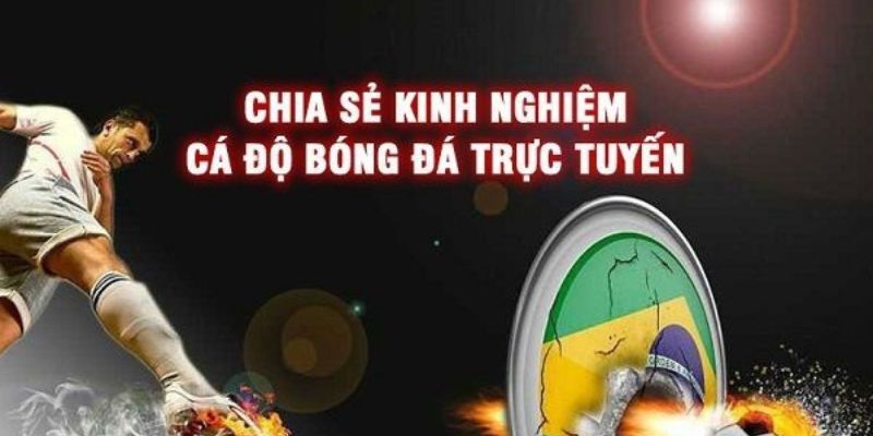 kinh nghiệm cá cược bóng đá